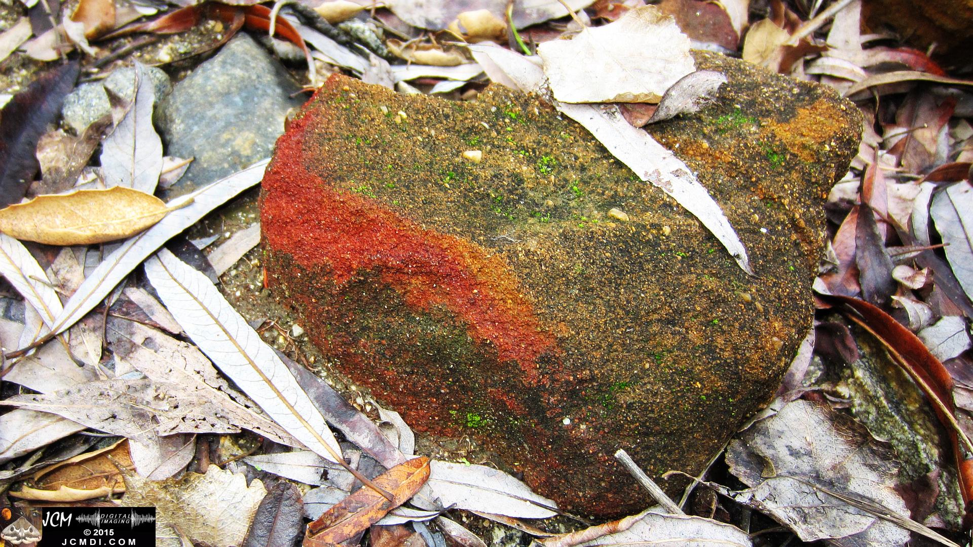 Whitney Canyon red ochre rocks